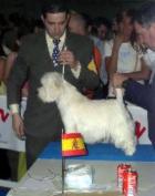 Alborada Diavolo